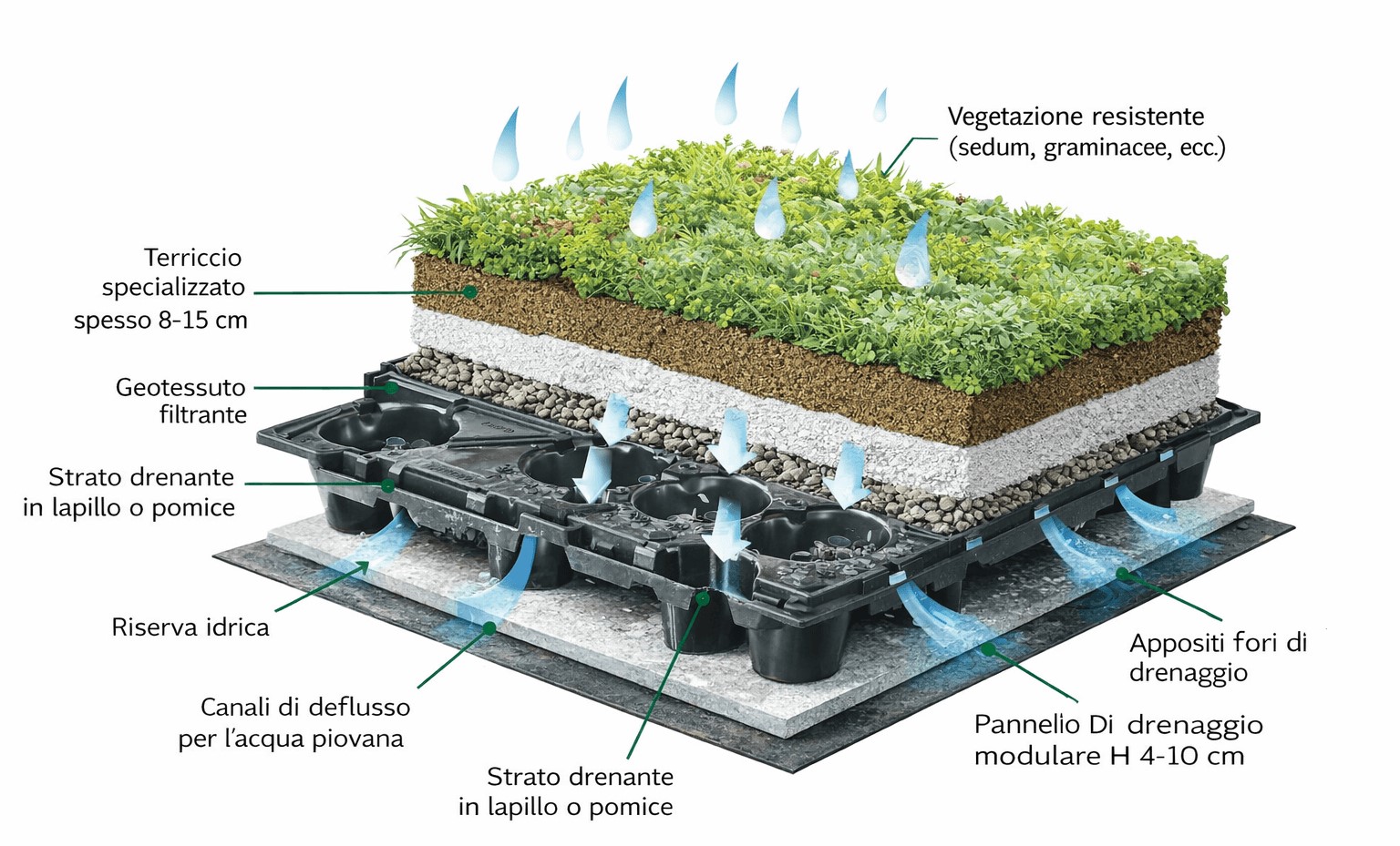 Immagine che rappresenta la composizione e struttura del giardino pensile