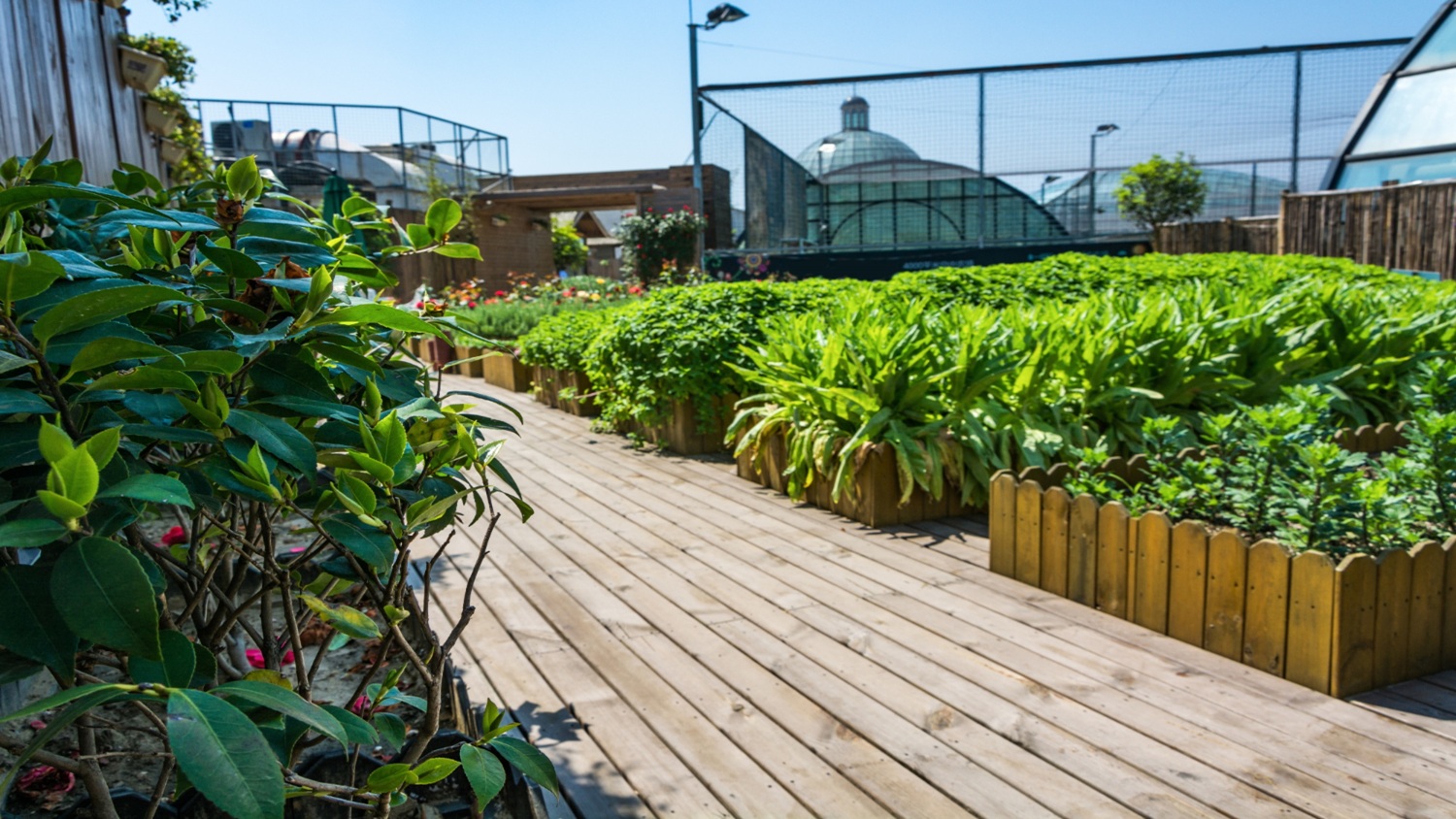Che cos'è il Roof Garden